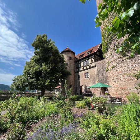 Alte Foersterei - Elegantes Apartment In Der Historischen Hinterburg Schlitz - Nahe Fulda Und Bad Hersfeld Extérieur photo